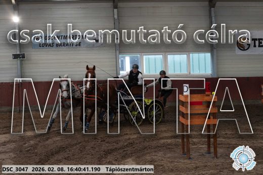 Mintakép 20260208-1346
