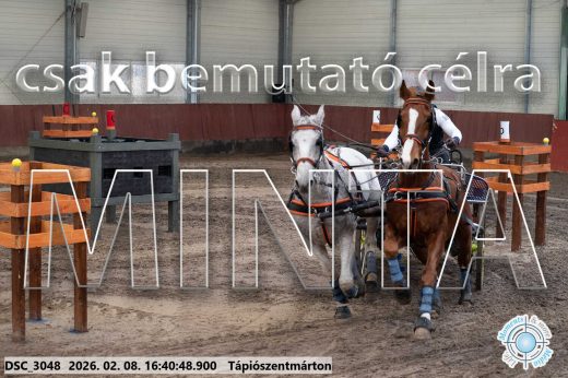 Mintakép 20260208-1347