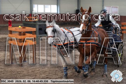 Mintakép 20260208-1348