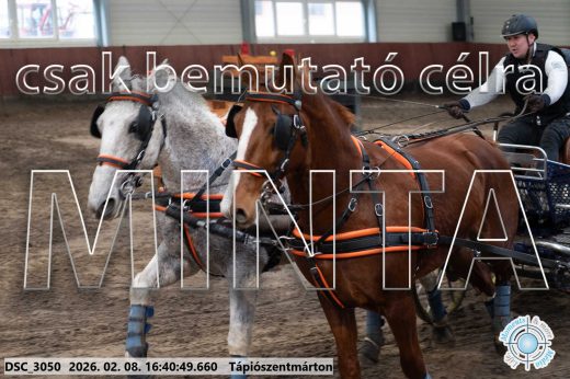 Mintakép 20260208-1349