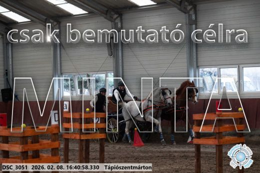 Mintakép 20260208-1350