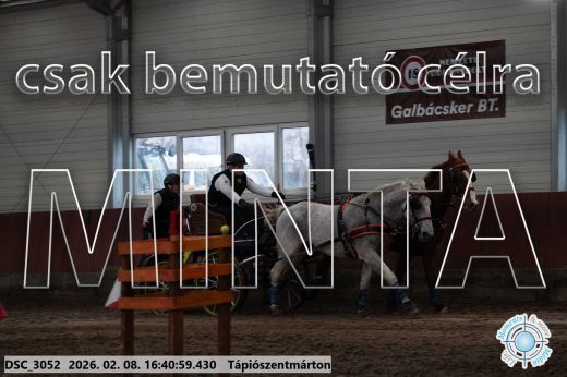 Mintakép 20260208-1351