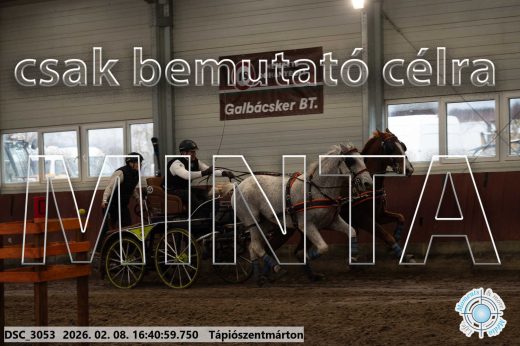 Mintakép 20260208-1352