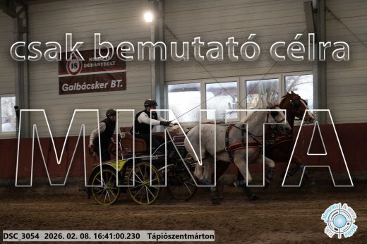 Mintakép 20260208-1353