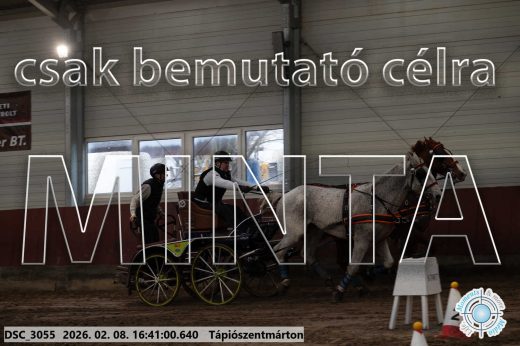 Mintakép 20260208-1354