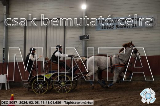 Mintakép 20260208-1356