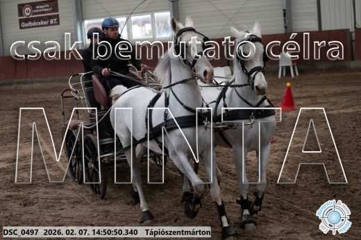 20260207-145050-DSC_0497.jpg