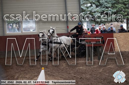Mintakép 20260207-800
