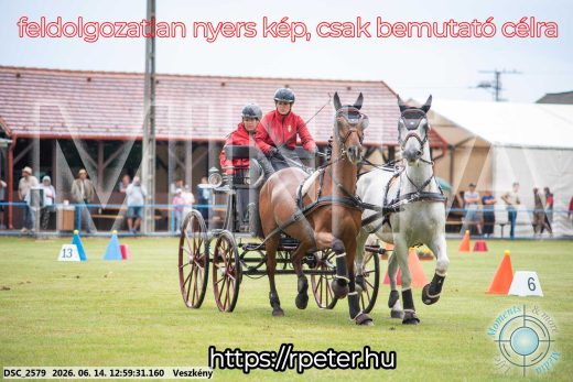 Mintakép 20260614-176