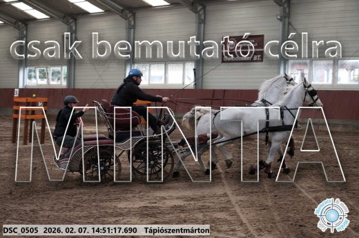 Mintakép 20260207-803
