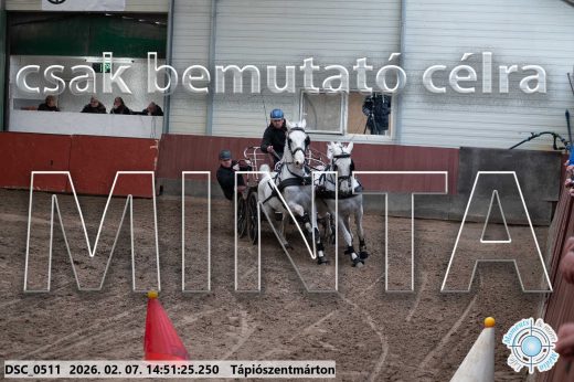 Mintakép 20260207-809