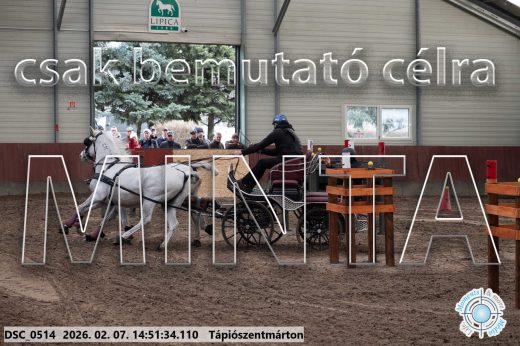Mintakép 20260207-811