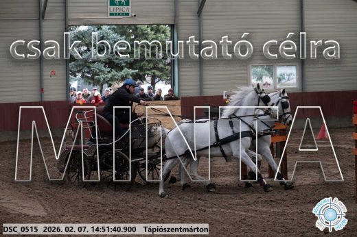Mintakép 20260207-812