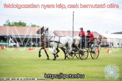 Mintakép 20260614-177
