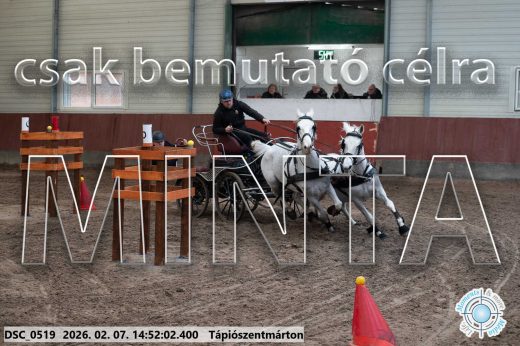 Mintakép 20260207-816
