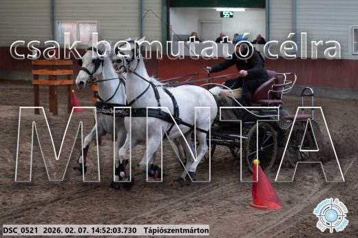 Mintakép 20260207-818