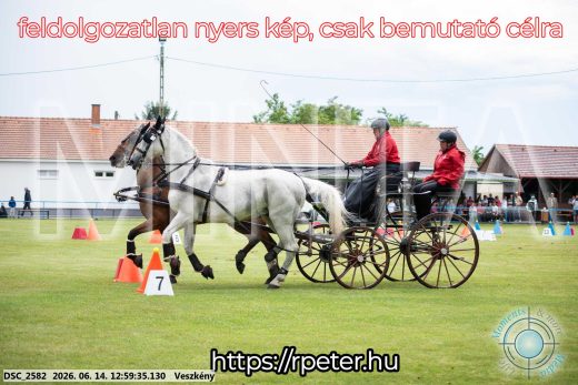 Mintakép 20260614-179