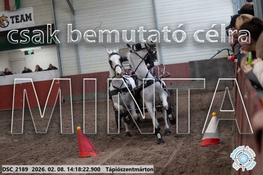 Mintakép 20260208-1370