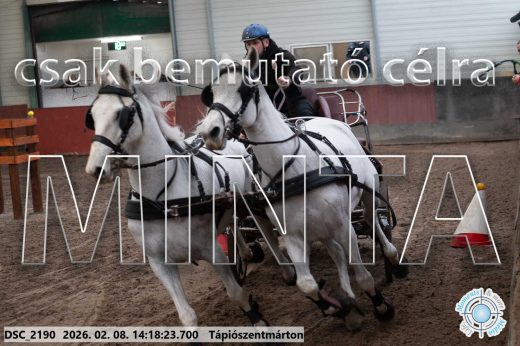 Mintakép 20260208-1371