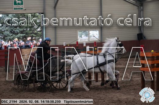 Mintakép 20260208-1375
