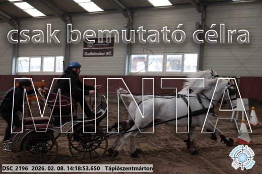 Mintakép 20260208-1377