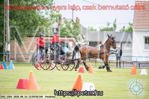 Mintakép 20260614-181