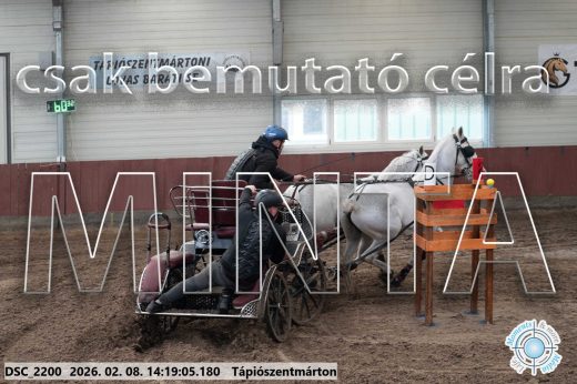Mintakép 20260208-1381