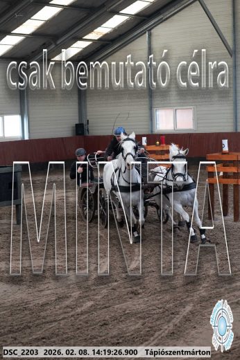 Mintakép 20260208-1384