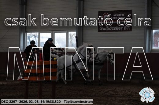 Mintakép 20260208-1388