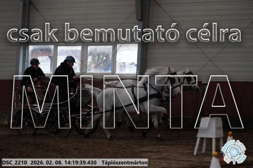 Mintakép 20260208-1391