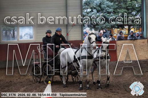 Mintakép 20260208-1394