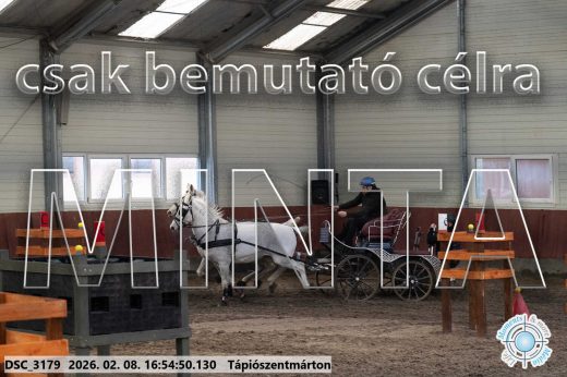 Mintakép 20260208-1397