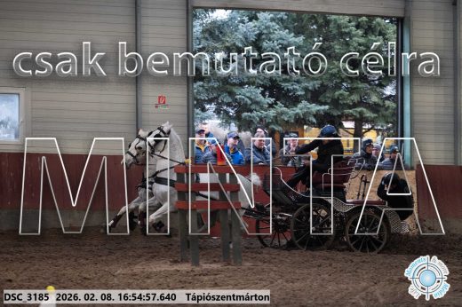 Mintakép 20260208-1403