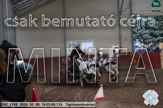 Mintakép 20260208-1406