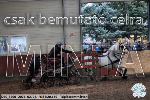Mintakép 20260208-1418