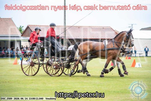 Mintakép 20260614-185