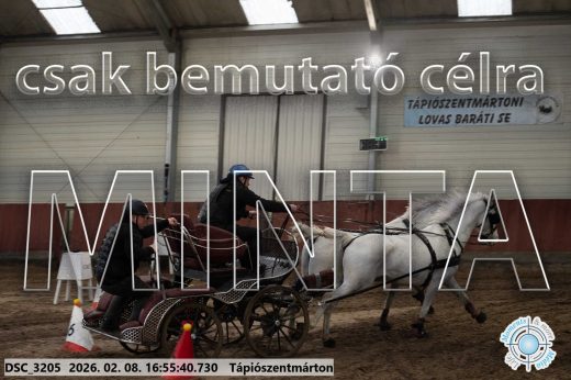 Mintakép 20260208-1423