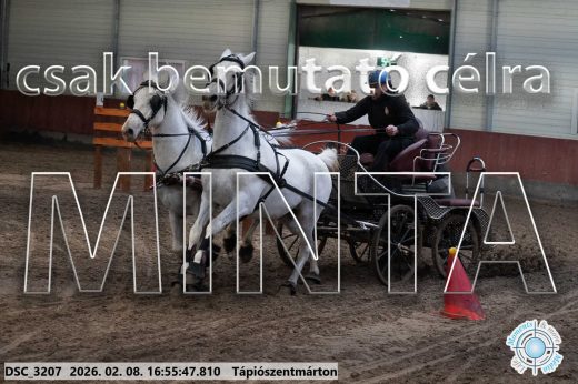 Mintakép 20260208-1425