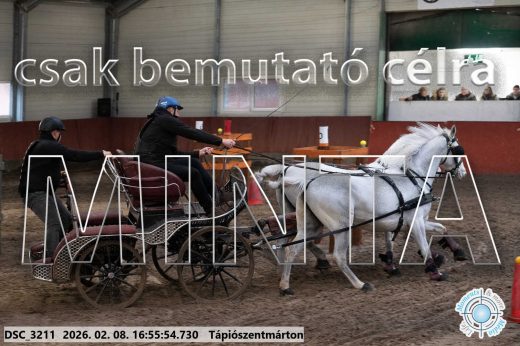 Mintakép 20260208-1429