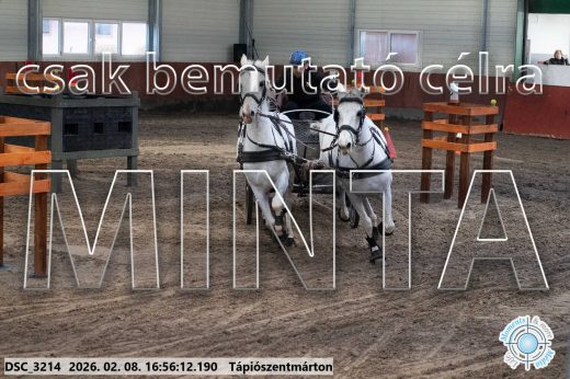 Mintakép 20260208-1432