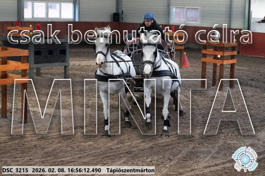 Mintakép 20260208-1433