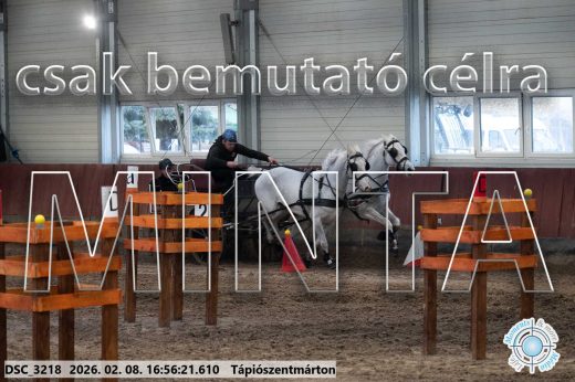 Mintakép 20260208-1436