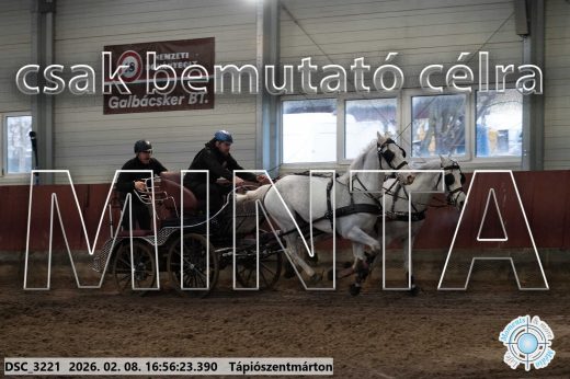 Mintakép 20260208-1439