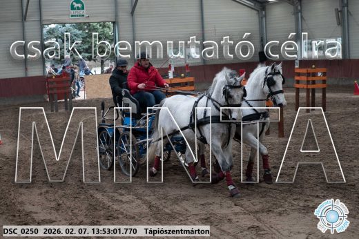 20260207-135301-DSC_0250.jpg