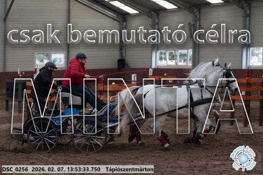 Mintakép 20260207-835
