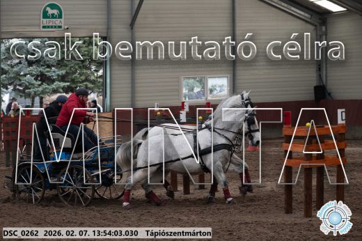 Mintakép 20260207-839