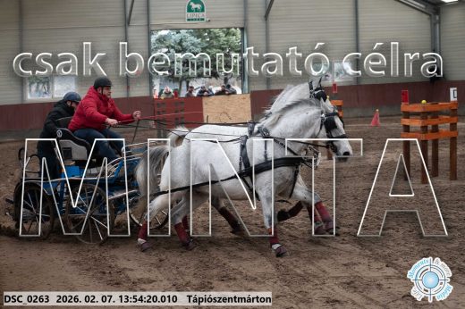 Mintakép 20260207-840