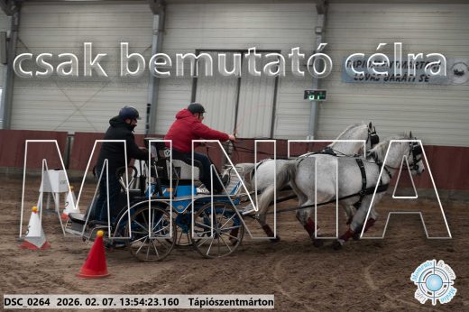 Mintakép 20260207-841