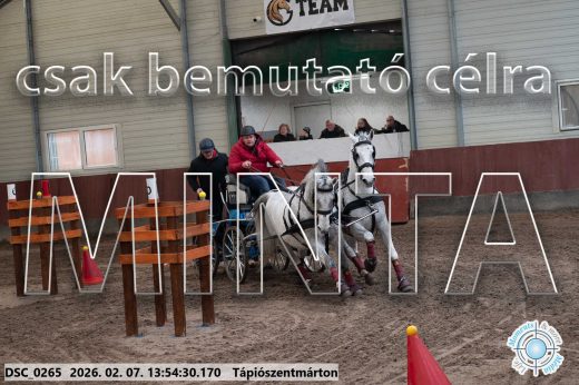 Mintakép 20260207-842