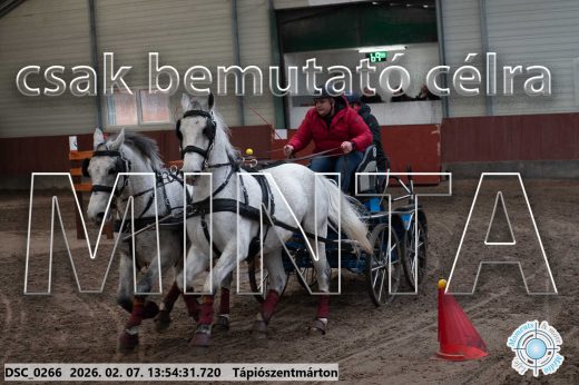 Mintakép 20260207-843